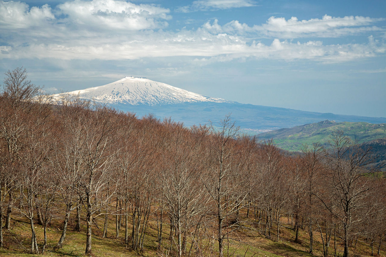 Autunno Ragalnese: Sapori E Tradizioni Dell'etna A Ragalna